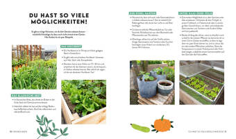 Keine Zeit zu gärtnern - Gemüse länger ernten in Gewächshaus, Frühbeet & Co.