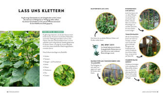 Keine Zeit zu gärtnern - Gemüse länger ernten in Gewächshaus, Frühbeet & Co.