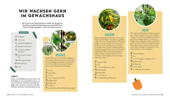 Keine Zeit zu gärtnern - Gemüse länger ernten in Gewächshaus, Frühbeet & Co.