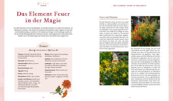 Magie im Hexengarten - Gärtnern mit grüner Magie