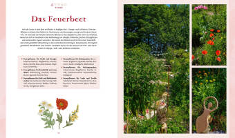 Magie im Hexengarten - Gärtnern mit grüner Magie