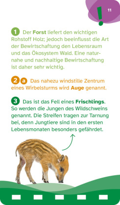 WAS IST WAS Quiz Natur