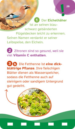 WAS IST WAS Quiz Natur