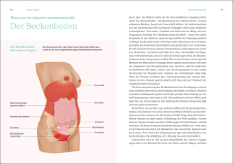 Das große Gynbuch