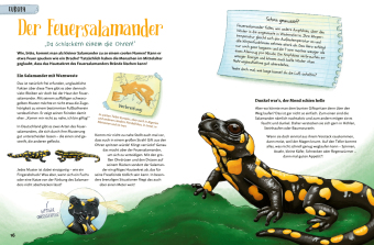 Stacheln, Schleim & spitze Zähne! Mein Bestiarium der außergewöhnlichen Tiere
