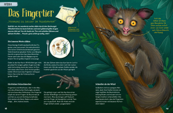 Stacheln, Schleim & spitze Zähne! Mein Bestiarium der außergewöhnlichen Tiere