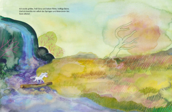 Wild - Ein kleines Pferd braucht Freiheit 