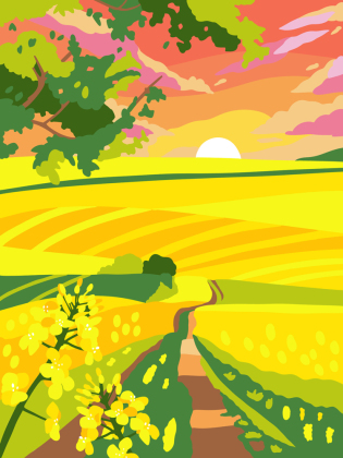 Colorful Surprise - Blumen