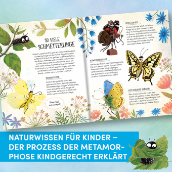 Wie Schmetterlinge leben. Amanda erzählt.