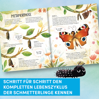 Wie Schmetterlinge leben. Amanda erzählt.