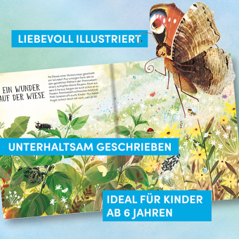 Wie Schmetterlinge leben. Amanda erzählt.