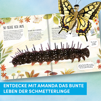 Wie Schmetterlinge leben. Amanda erzählt.