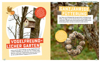 Es grünt so grün! Geniale Lifehacks für Gartenliebhaber