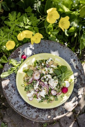 Meine grüne französische Bistro-Küche