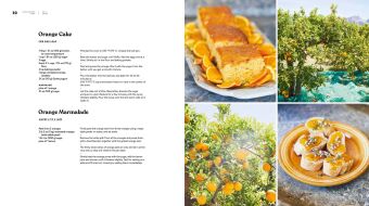 A Taste of Mallorca
