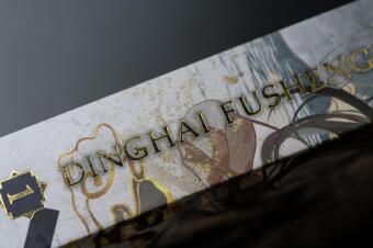 Dinghai Fusheng Records. Buch 1