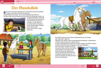 Bibi & Tina: Das große Jubiläumsbuch