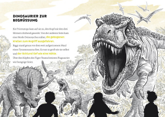 Tiger-Team - Friedhof der Dinosaurier 