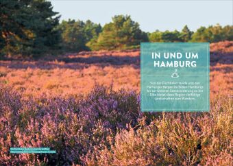 Mystische Pfade Lüneburger Heide