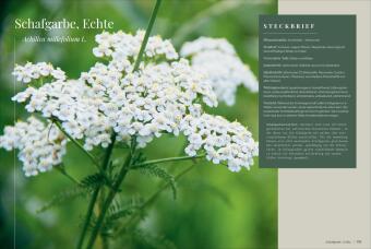 Die Kräutermacherei. Meine Naturapotheke.