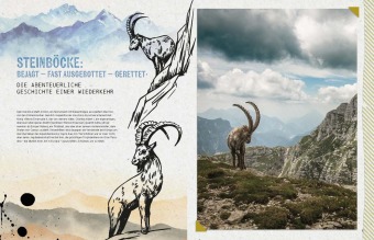 Die Alpen-Bibel