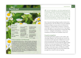 Essbare Heilkräuter und Wildpflanzen. Kompakt-Ratgeber
