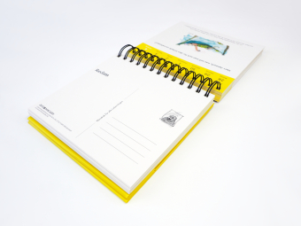 Wondrak für alle Lebenslagen. Postkartenkalender 2027