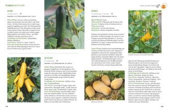 Gärtnern mit dem Hochbeet 