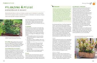 Gärtnern mit dem Hochbeet 