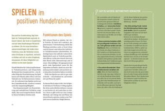 Spielerische Hundeerziehung