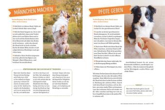 Spielerische Hundeerziehung