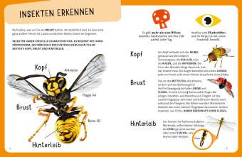 Top Ten die seltsamsten Insekten