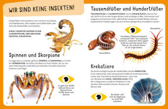 Top Ten die seltsamsten Insekten