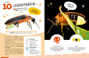 Top Ten die seltsamsten Insekten
