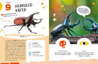 Top Ten die seltsamsten Insekten