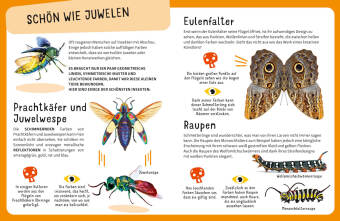 Top Ten die seltsamsten Insekten
