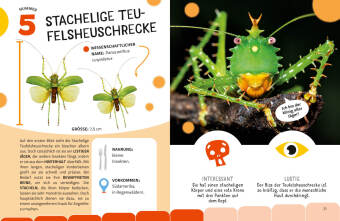 Top Ten die seltsamsten Insekten