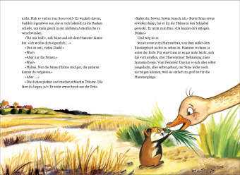 Stine Gans und ihre unglaubliche Reise
