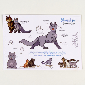 Warrior Cats - Die Prophezeiungen beginnen 