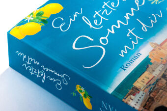 Ein letzter Sommer mit dir