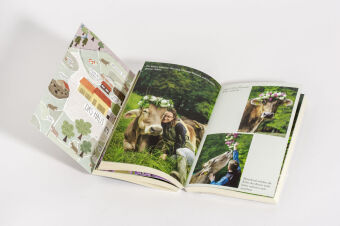 Gekommen, um zu bleiben 