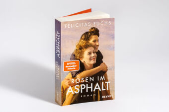 Rosen im Asphalt