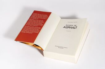 Rosen im Asphalt
