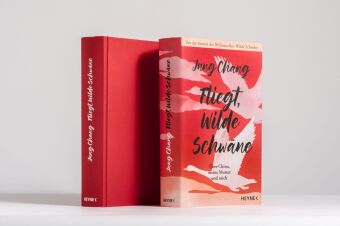 Fliegt, Wilde Schwäne