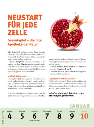 Fit und gesund durchs Jahr - Der Strunz-Wochenkalender 2027