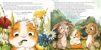 Maxi Pixi 491: Metti Meerschwein und das große Abenteuer