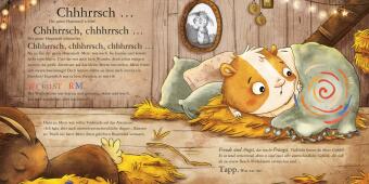 Maxi Pixi 491: Metti Meerschwein und das große Abenteuer