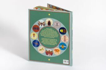 Insekten und ihre Superkräfte