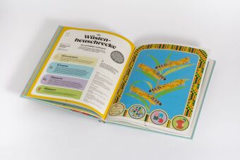 Insekten und ihre Superkräfte