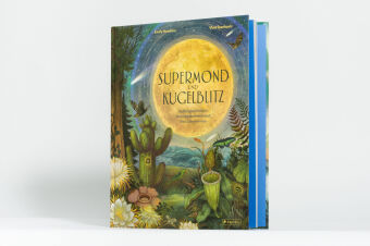 Supermond und Kugelblitz